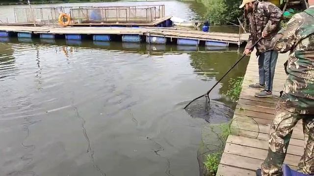 Кукуруза с опарышем смотреть онлайн