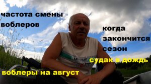 Воблеры на август. Как часто менять воблеры. Судак в дождь. Окончание сезона и т.п.