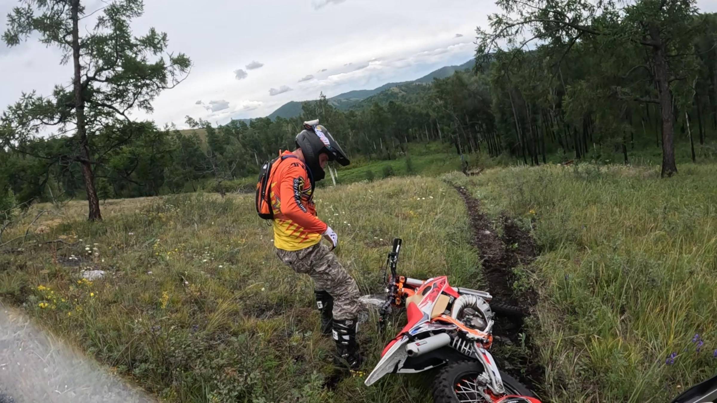 Биджа.серебро2025.