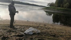 ловля хищника на спиннинг