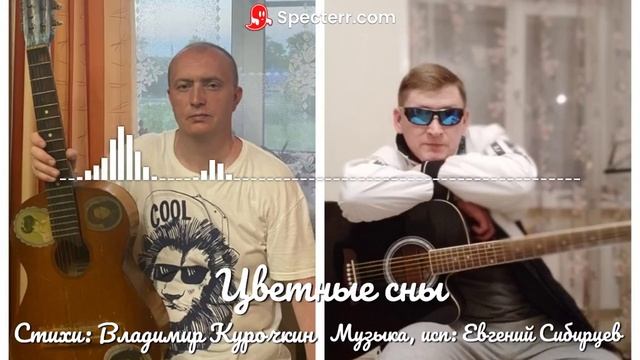 Цветные сны Стихи: Владимир Курочкин Музыка, исп: Евгений Сибирцев смотреть онлайн