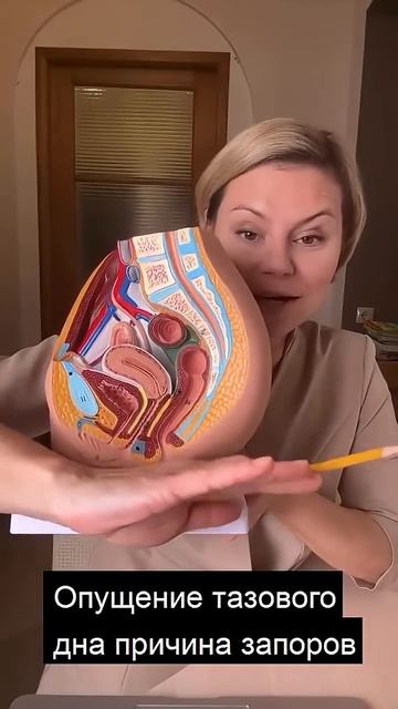 Опущение тазового дна и запоры. Вреда запоров для женщин. Гинеколог Екатерина Волкова смотреть онлайн