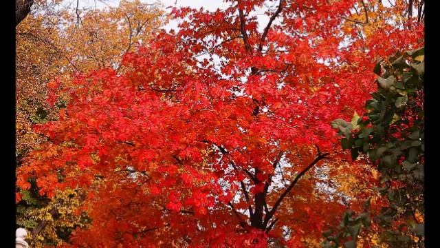 саммит Путин Трамп, чем кончится?