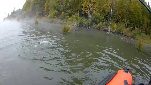 Рыбалка на хищника на Мертвом озере смотреть онлайн