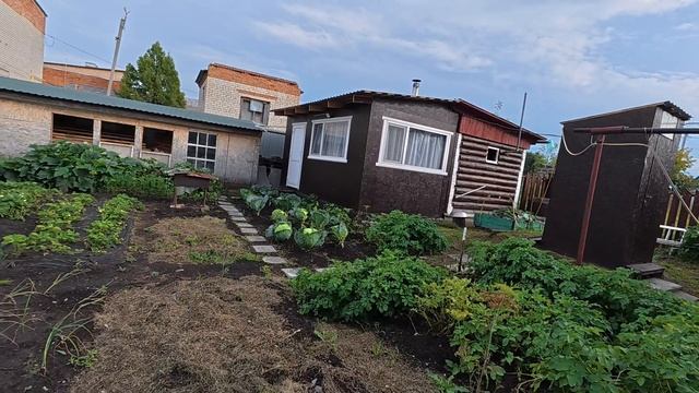 Всю жизнь решаю проблемы смотреть онлайн