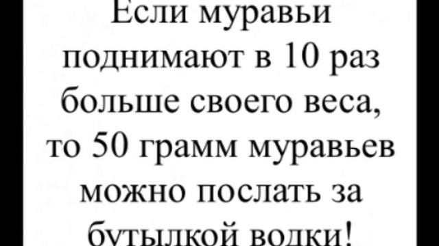 Про муравьёв