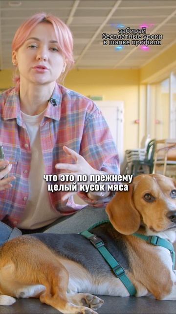 🎁Бесплатные уроки. Жми сюда! смотреть онлайн