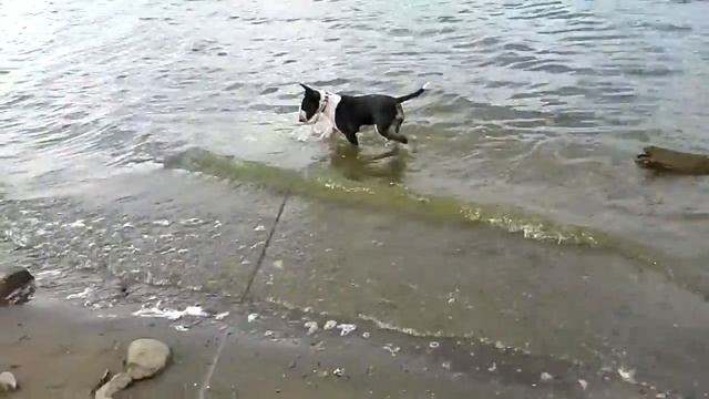 20140828 185758 смотреть онлайн