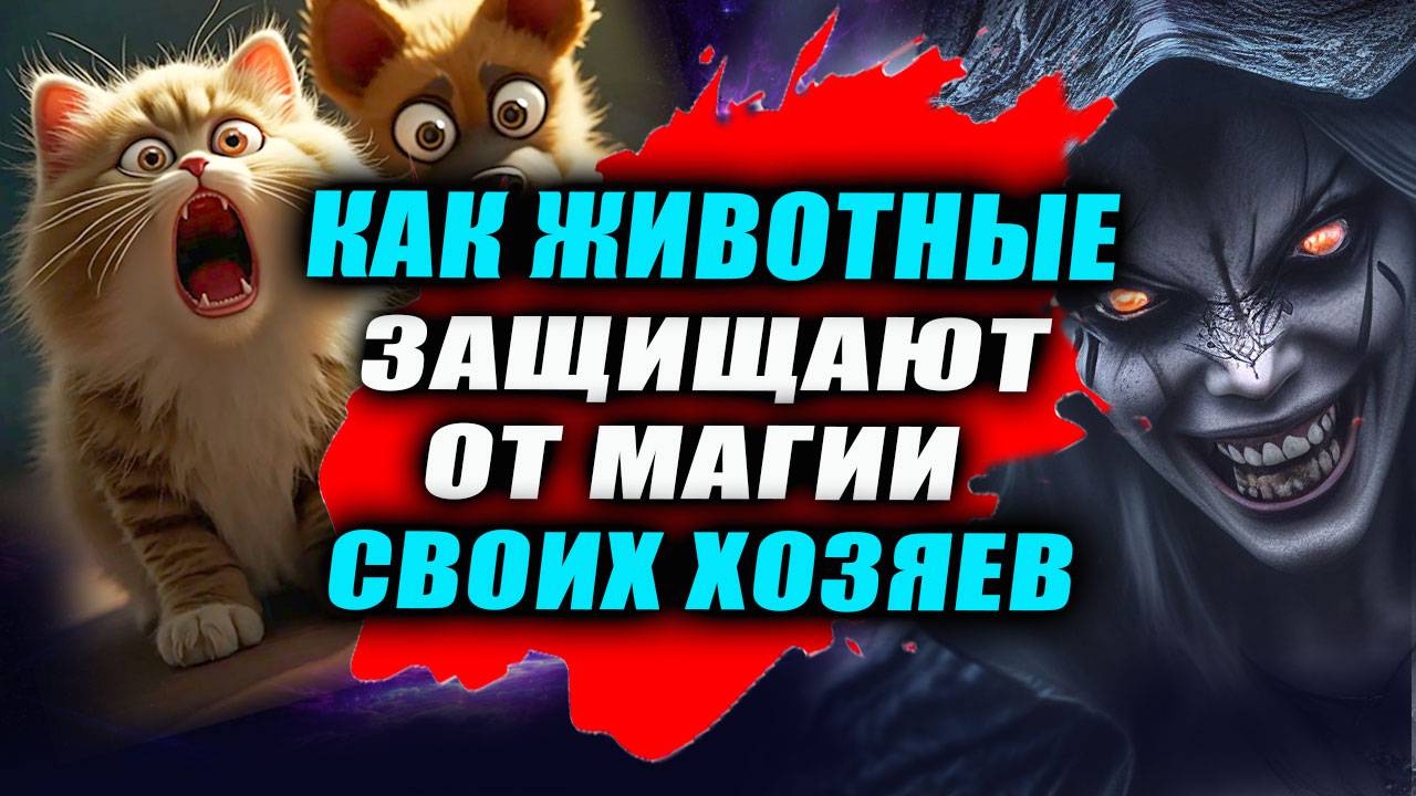 Звериная чуйка. Как собаки и коты берегут хозяев от магии и предупреждают об опасности? | Е. Грин смотреть онлайн