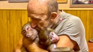 УРА, ДОЖДАЛИСЬ! Люська пришла домой и перевернула все ВВЕРХ ДНОМ!