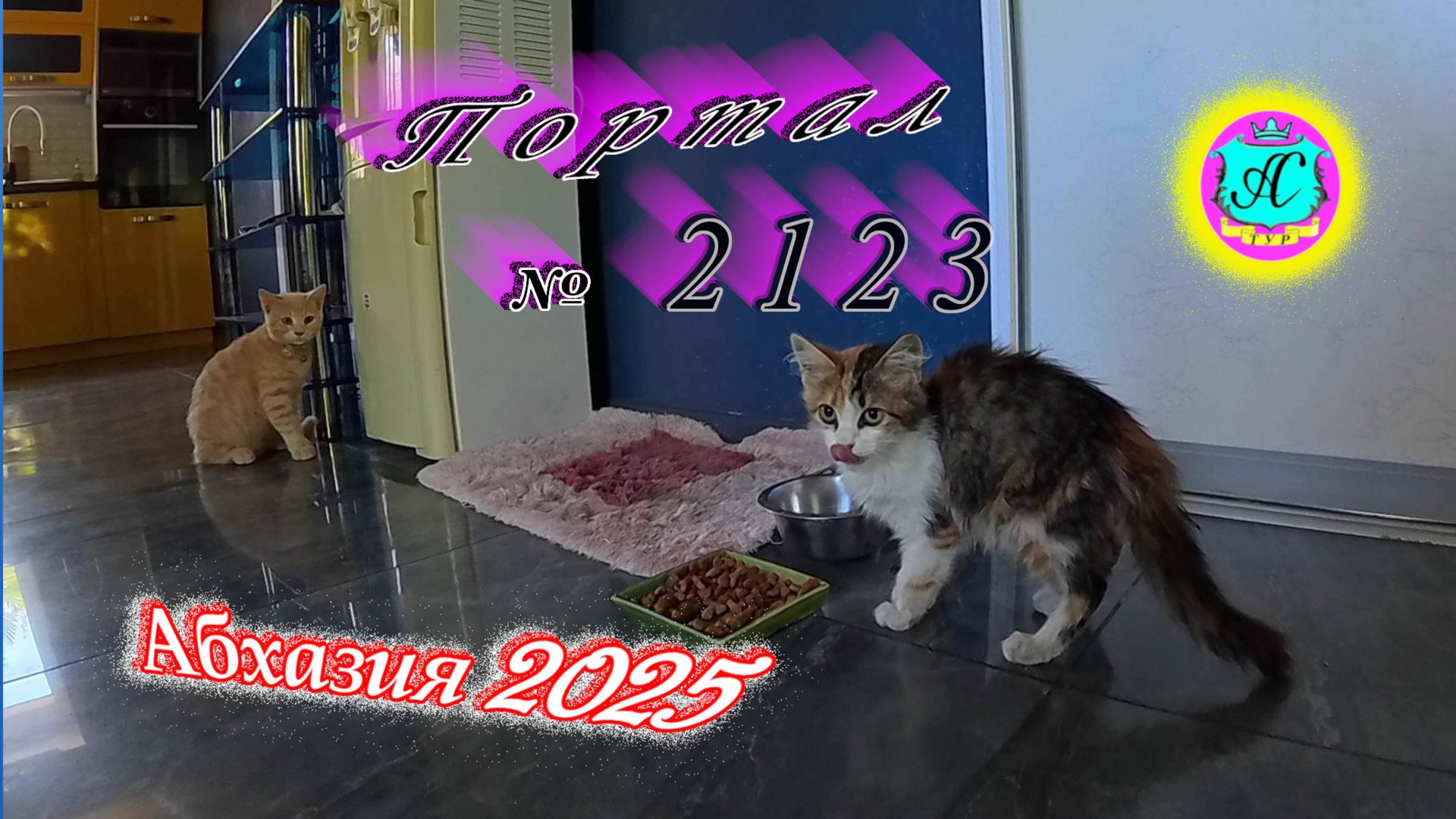 #Абхазия2025🌴 14.08.25г. Выпуск №2123🌡вчера +33°🌡ночью +21°🐬море +27,5❗ смотреть онлайн