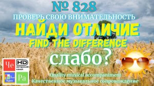 «Найди отличие» / «Spot the Difference» _ выпуск № 828