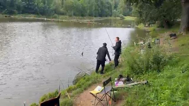 Утро смотреть онлайн