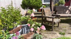 222. Вот это первый рабочий день! Показываю сад.