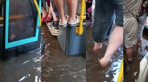 Плывём! После ливня в автобусе