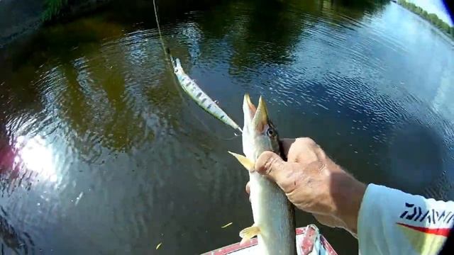 Шнурогайки АТАКУЮТ смотреть онлайн