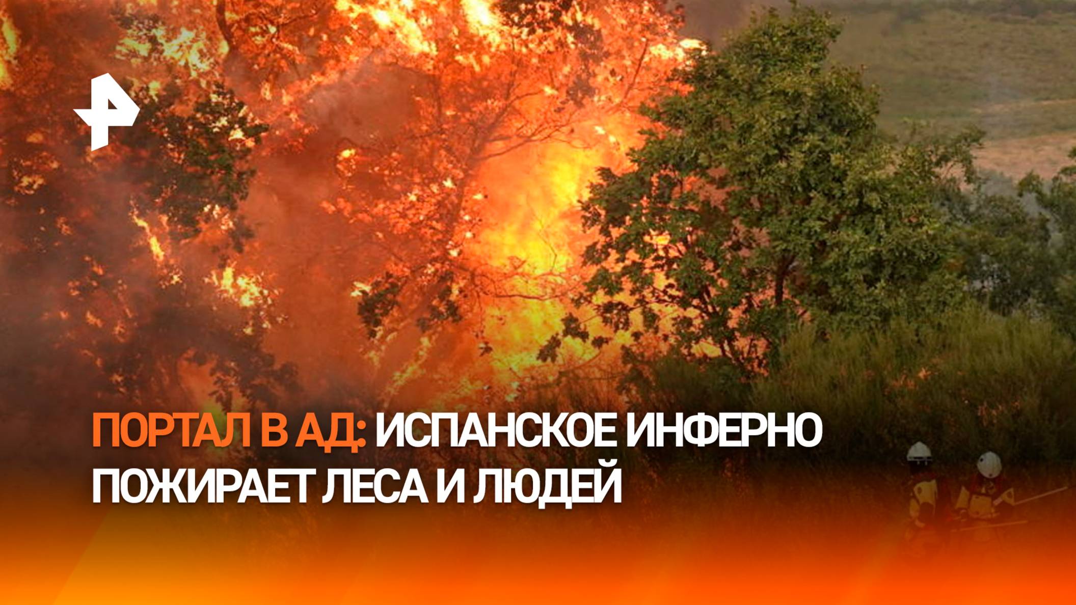 РЕН ТВ. Новости