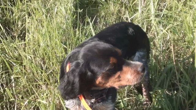 Бретон Марко - несколько верных работ смотреть онлайн