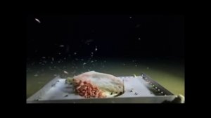 Великий Тихий океан и доисторическая Земля