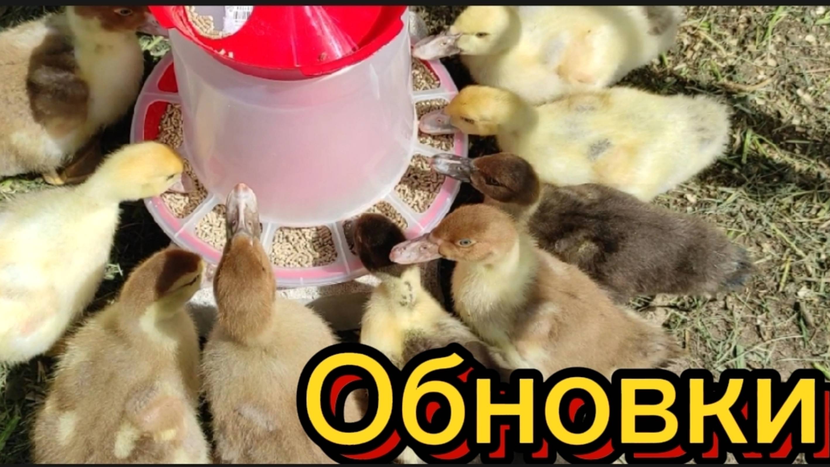 Малыши с обновками. смотреть онлайн