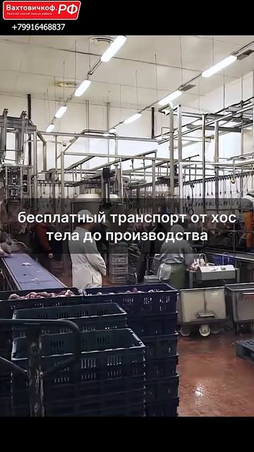 Работа вахтой на 