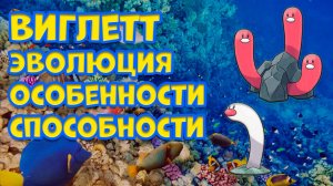ВИГЛЕТТ. ЭВОЛЮЦИЯ, ОСОБЕННОСТИ, СПОСОБНОСТИ