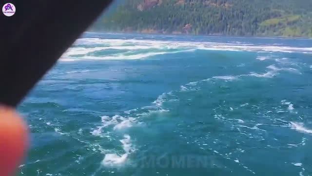 Невероятные моменты, запечатленные на камеру смотреть онлайн