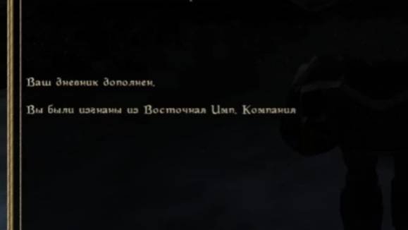 Не включил микрофон..: The Elder Scrolls III: Morrowind - 12