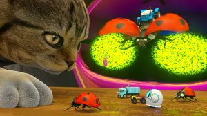 Роботы и машинки УМЕНЬШИЛИСЬ! Кто всё испортил?!