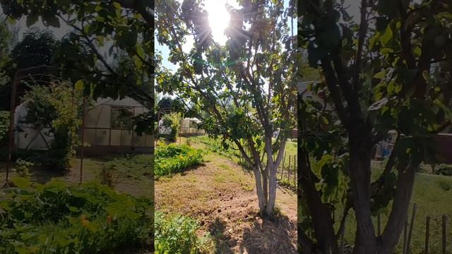 СНТ Буровик