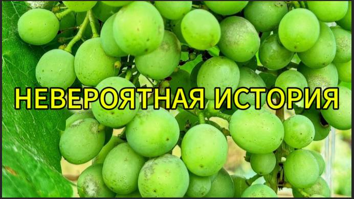 Невероятная история смотреть онлайн