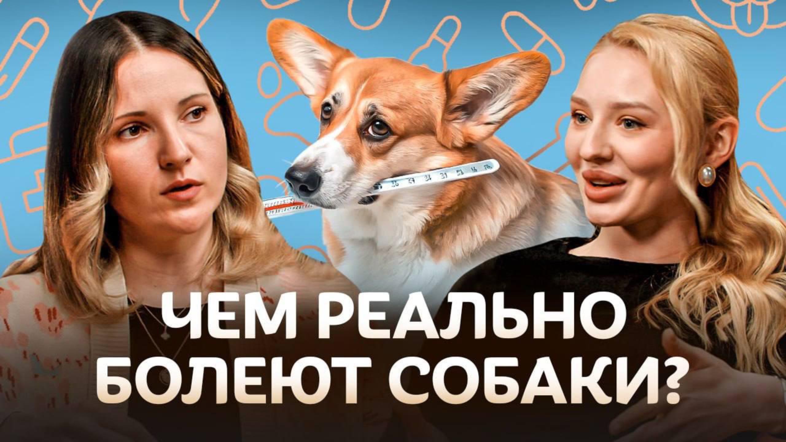 Чем реально болеют собаки? Ветеринар о профилактике и лечении болезней / Догси Подкаст #1