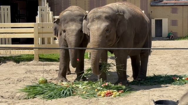 Ростовский-на-Дону зоопарк