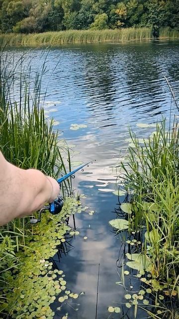 Клюëт! На рыбалке