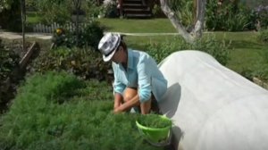 6 соток 9 августа 2025 года. Хроника.