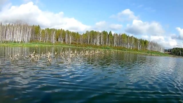 Если клюет то клюет на разные приманки. смотреть онлайн