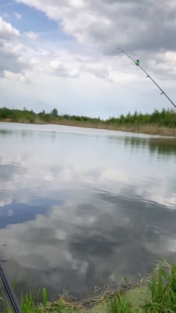 РЫБАЛКА | БЛОКNOTE | ТРЕНД 🆒🎣👉 #fishing #рыбалканаозере #лето #рыбалка #shorts #tiktok #trend