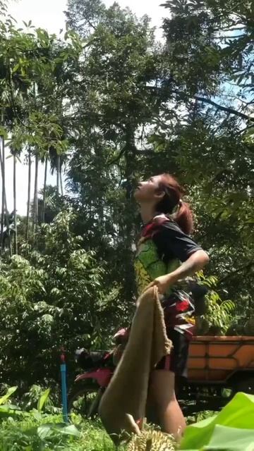 Демид537288дьявол