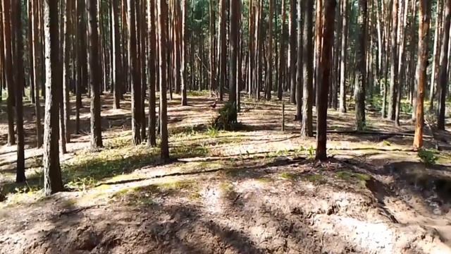 ТИПЫ РУКОВОДИТЕЛЕЙ в работе по найму. Найди себя!!!