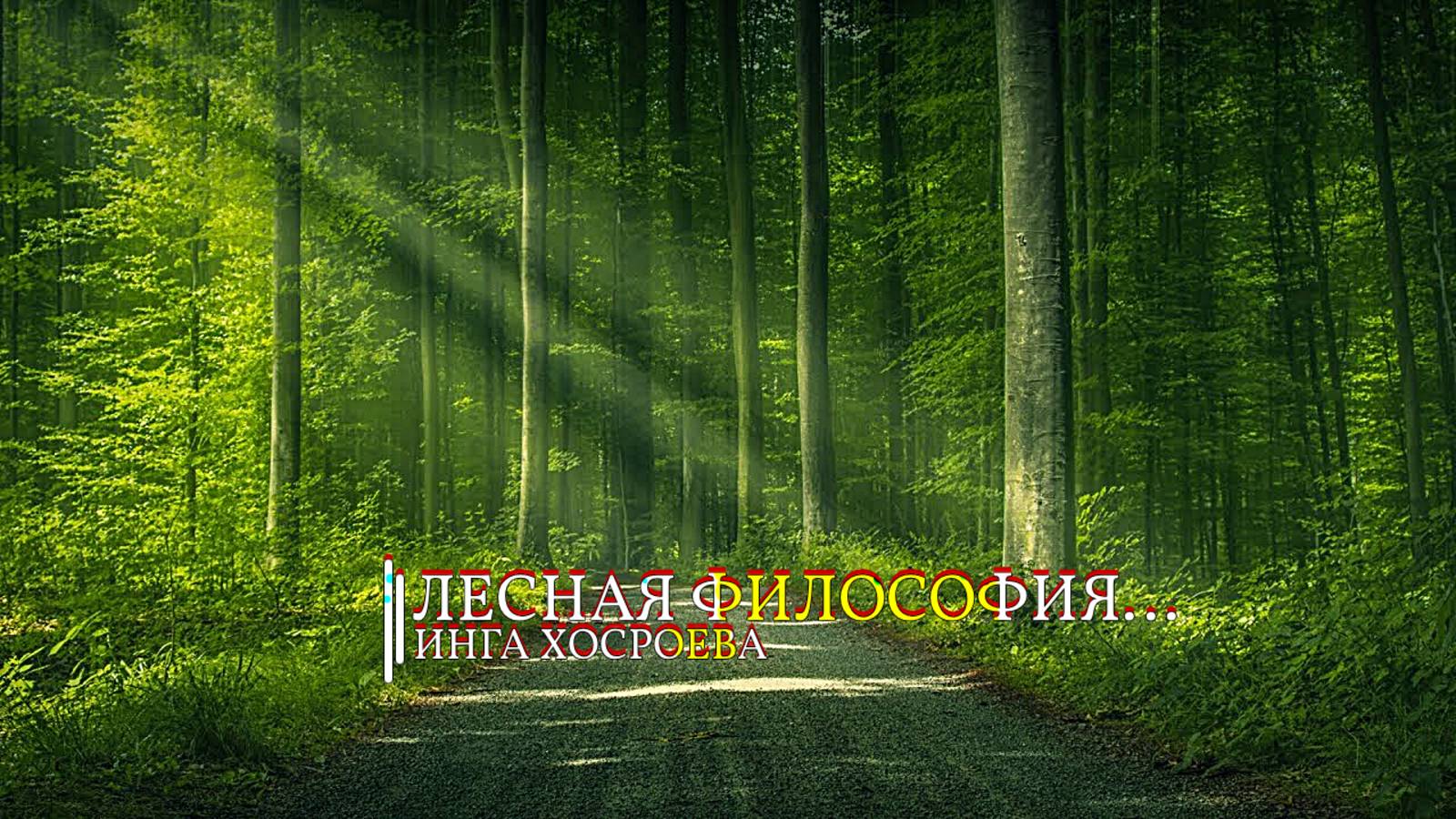 ЛЕСНАЯ ФИЛОСОФИЯ...ИНГА ХОСРОЕВА смотреть онлайн
