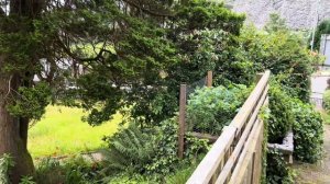 221. Наконец дома! Все запущено!