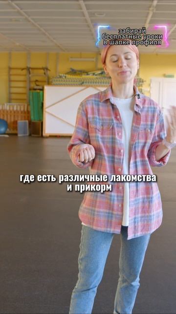 🎁Бесплатные уроки. Жми сюда! смотреть онлайн