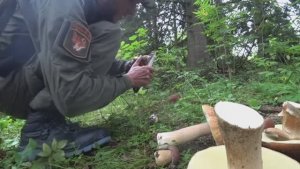 ГРИБНИКА ПОРАЗИЛ НЕРВНЫЙ ТИК УВИДЕВ МИЛЛИОНЫ ГРИБОВ. Тихая охота