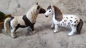 Вызов принят, лошадей шляйх 🐎