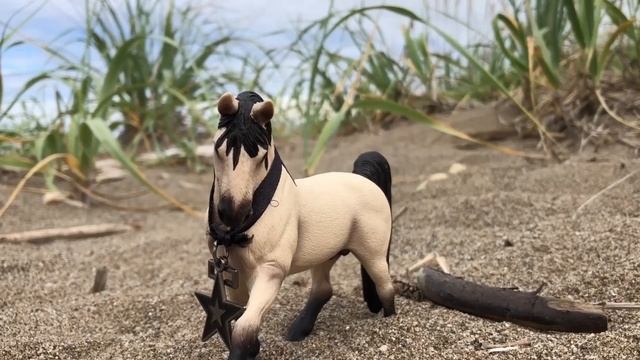 Проект 2025 Шериф / Коротко / Продолжение.