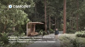 Богдановский_Лес_30.07.2025_ВИДЕОВИЗИТКА_5_1