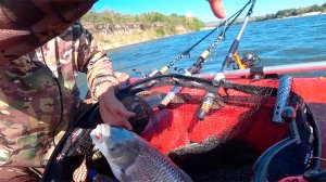 НЕЧЕСТНО ПОЙМАННЫЙ АМУР !!!