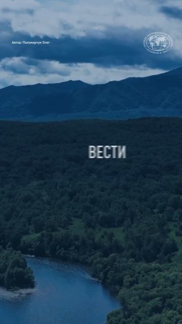 Согласны? #мысли #цитаты #философия #shorts