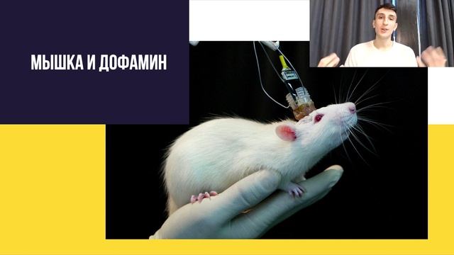 Светлая Сторона