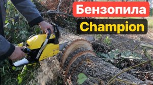 Тест БЕНЗОПИЛЫ Champion 254-18" PRO